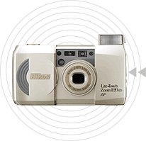 Immagine articolo...