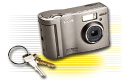 Immagine articolo...