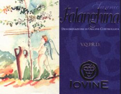 Immagine articolo...