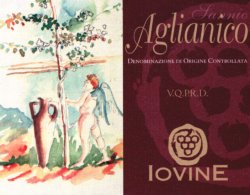 Immagine articolo...