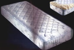 Immagine articolo...