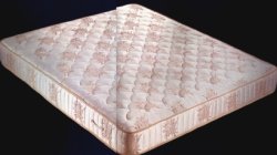 Immagine articolo...