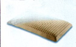 Immagine articolo...