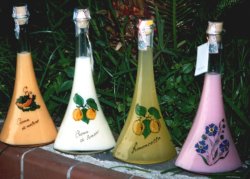 Immagine articolo...