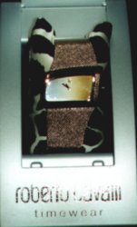 Immagine articolo...