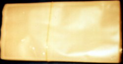 Immagine articolo...