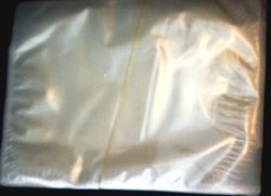 Immagine articolo...