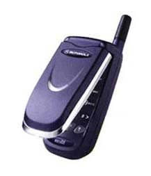 Immagine articolo...