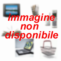 Immagine articolo...