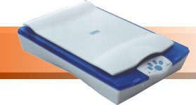 Immagine articolo...