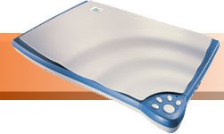 Immagine articolo...