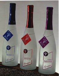 Immagine articolo...